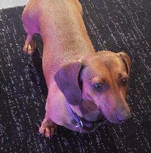 Meet your Posher, Debra